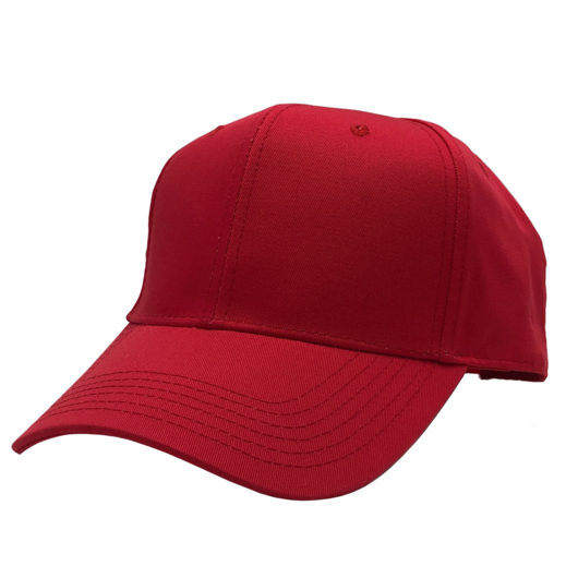 GN-1050 - Pro Style Cap