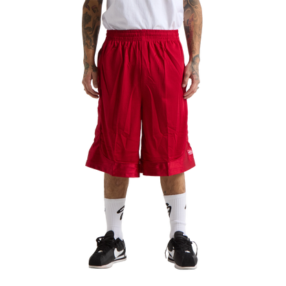 Basketball Mesh Shorts