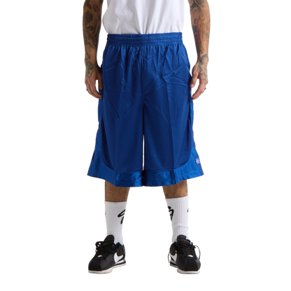 Basketball Mesh Shorts
