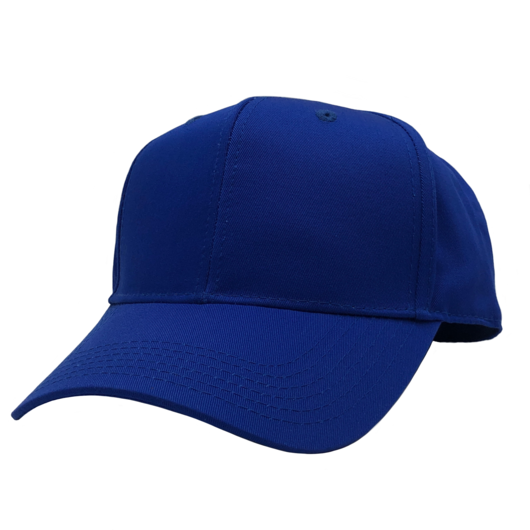 GN-1050 - Pro Style Cap